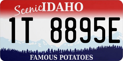 ID license plate 1T8895E