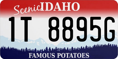 ID license plate 1T8895G