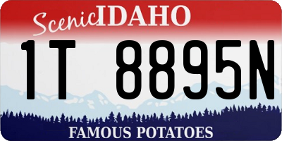 ID license plate 1T8895N