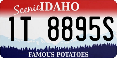 ID license plate 1T8895S