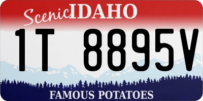 ID license plate 1T8895V