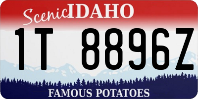 ID license plate 1T8896Z
