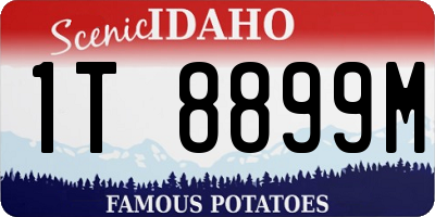 ID license plate 1T8899M