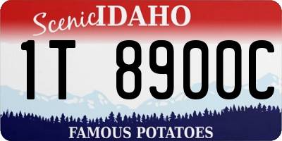 ID license plate 1T8900C