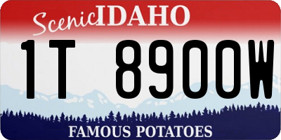 ID license plate 1T8900W