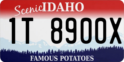 ID license plate 1T8900X