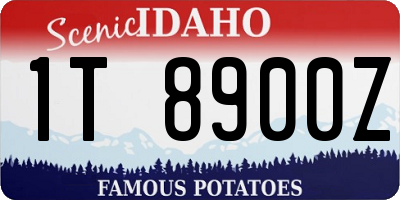 ID license plate 1T8900Z