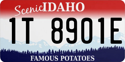 ID license plate 1T8901E