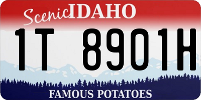 ID license plate 1T8901H
