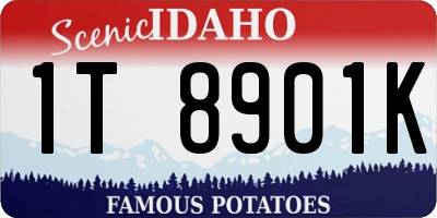 ID license plate 1T8901K