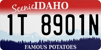 ID license plate 1T8901N
