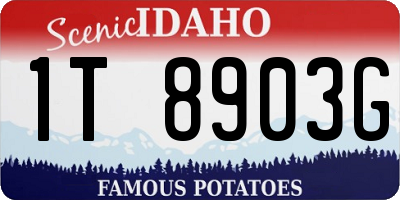 ID license plate 1T8903G