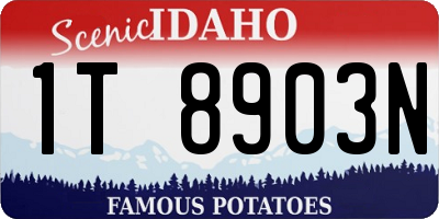 ID license plate 1T8903N