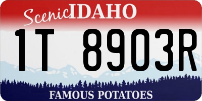 ID license plate 1T8903R