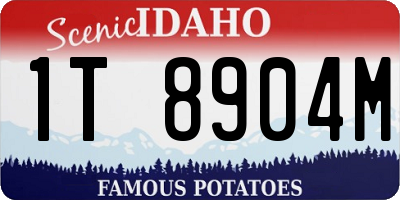 ID license plate 1T8904M