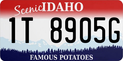 ID license plate 1T8905G
