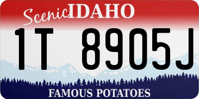 ID license plate 1T8905J