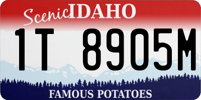 ID license plate 1T8905M