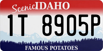 ID license plate 1T8905P