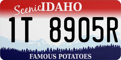 ID license plate 1T8905R
