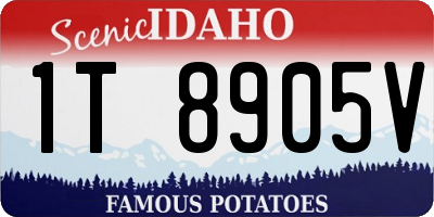 ID license plate 1T8905V