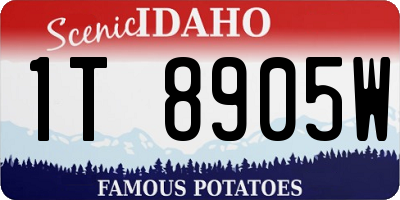 ID license plate 1T8905W