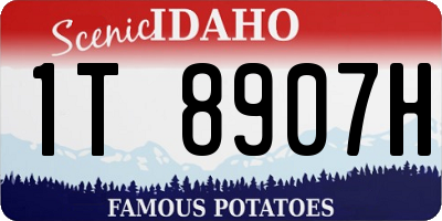 ID license plate 1T8907H