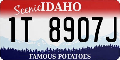 ID license plate 1T8907J