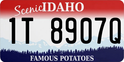 ID license plate 1T8907Q