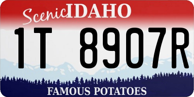 ID license plate 1T8907R