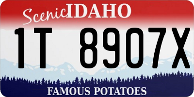 ID license plate 1T8907X