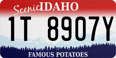 ID license plate 1T8907Y