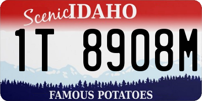 ID license plate 1T8908M