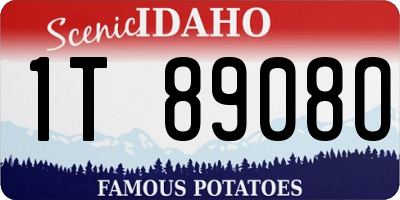ID license plate 1T8908O