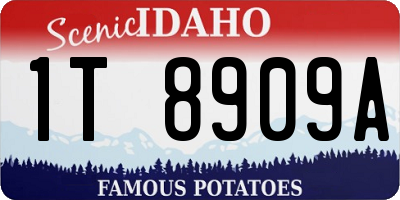 ID license plate 1T8909A