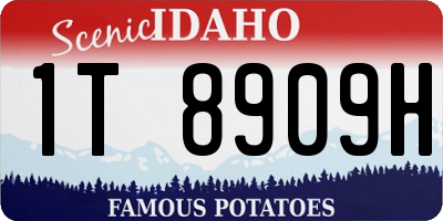 ID license plate 1T8909H