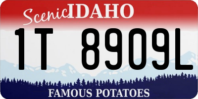 ID license plate 1T8909L
