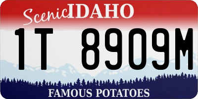 ID license plate 1T8909M