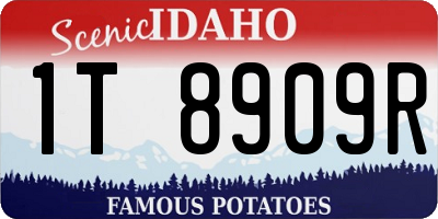 ID license plate 1T8909R