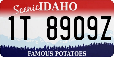 ID license plate 1T8909Z