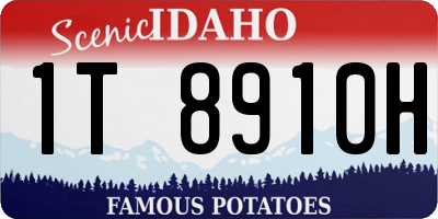 ID license plate 1T8910H