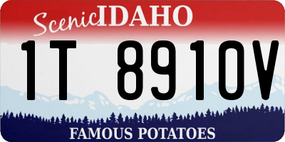 ID license plate 1T8910V