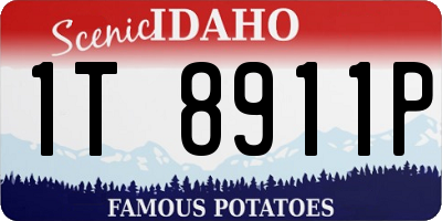 ID license plate 1T8911P