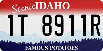 ID license plate 1T8911R