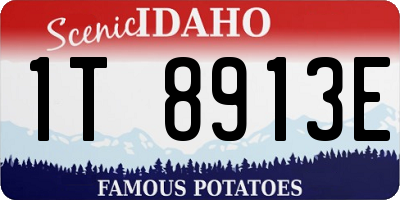 ID license plate 1T8913E