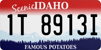 ID license plate 1T8913I