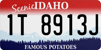 ID license plate 1T8913J