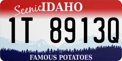 ID license plate 1T8913Q