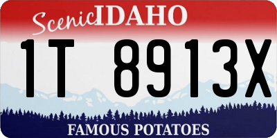 ID license plate 1T8913X