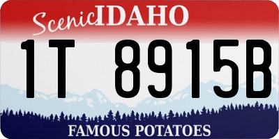 ID license plate 1T8915B